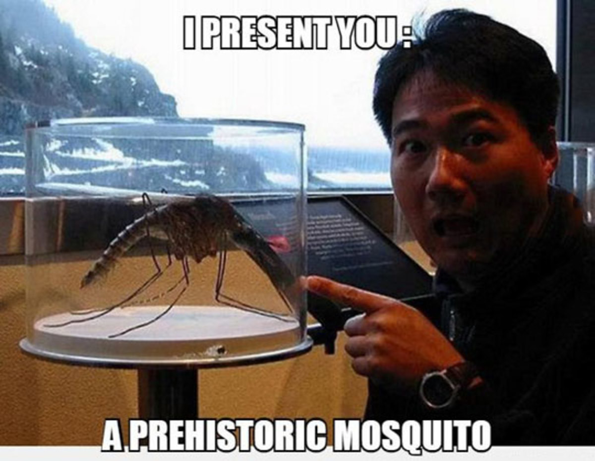 Огромный комар